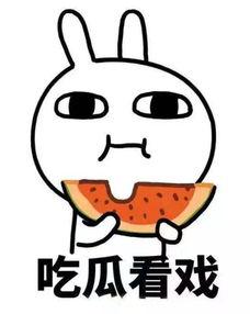 娱乐吃瓜酱酸,揭秘娱乐圈背后的酸甜苦辣  第3张