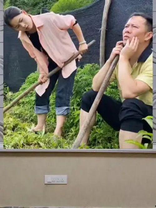 娱乐八卦吃瓜群众1,揭秘“吃瓜群众1”背后的故事 第1张 娱乐八卦吃瓜群众1,揭秘“吃瓜群众1”背后的故事 第1张