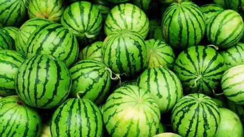 娱乐吃瓜为什么火,揭秘网络现象的火爆之谜 第3张 娱乐吃瓜为什么火,揭秘网络现象的火爆之谜 第3张