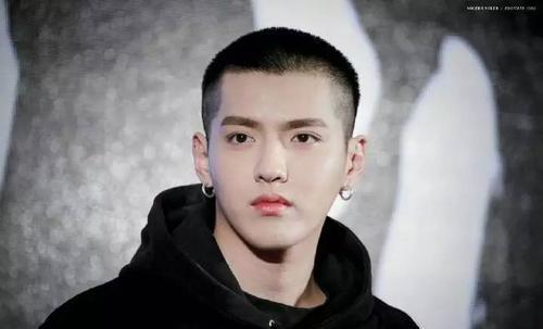 吃瓜娱乐圈大燕子,大燕子吃瓜记 第1张 吃瓜娱乐圈大燕子,大燕子吃瓜记 第1张