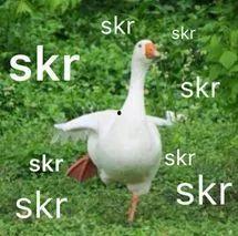 网上流行的吃瓜是什么意思,围观娱乐圈背后的真相 第1张 网上流行的吃瓜是什么意思,围观娱乐圈背后的真相 第1张