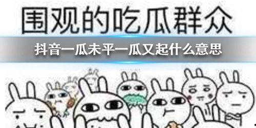 娱乐吃瓜酱抖音,娱乐吃瓜酱带你揭秘娱乐圈最新动态  第3张