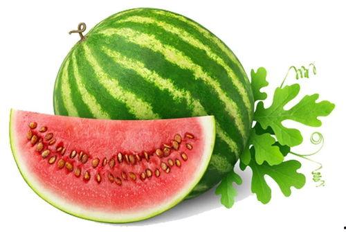 吃瓜网官网首页,揭秘娱乐圈最新动态,带你畅游八卦海洋 第2张 吃瓜网官网首页,揭秘娱乐圈最新动态,带你畅游八卦海洋 第2张